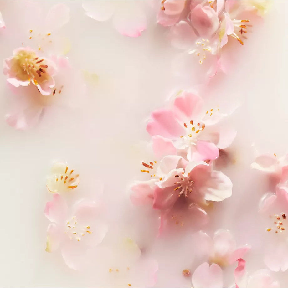The Ritual of Sakura Fragrance Sticks, 250ml