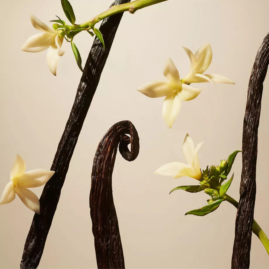 Suede Vanilla Fragrance Sticks, 450ml
