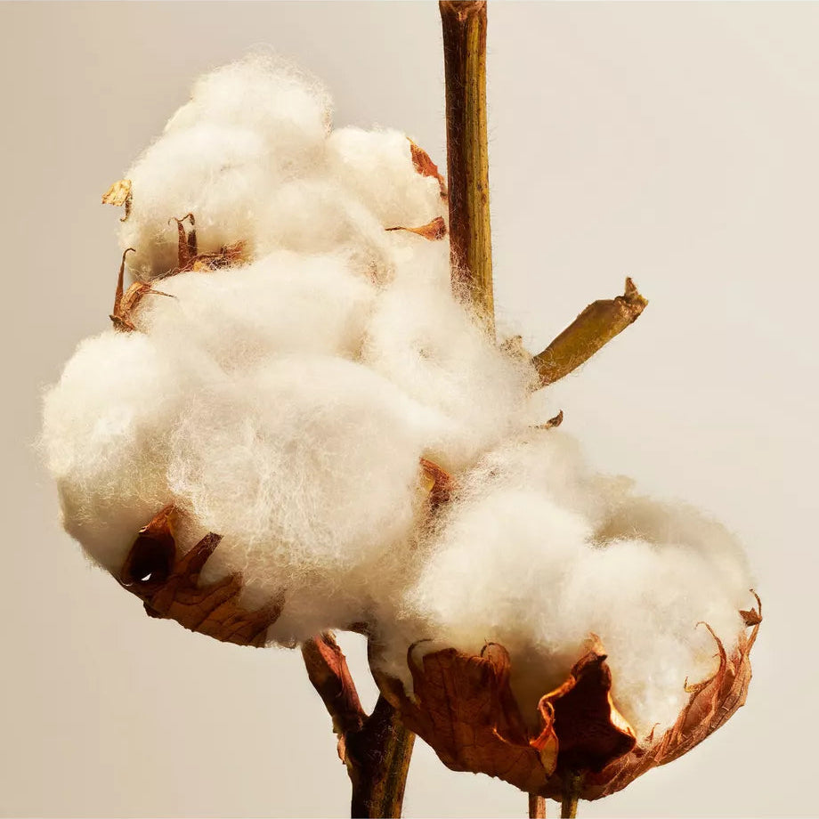 Cotton Blossom Fragrance Sticks, 450ml