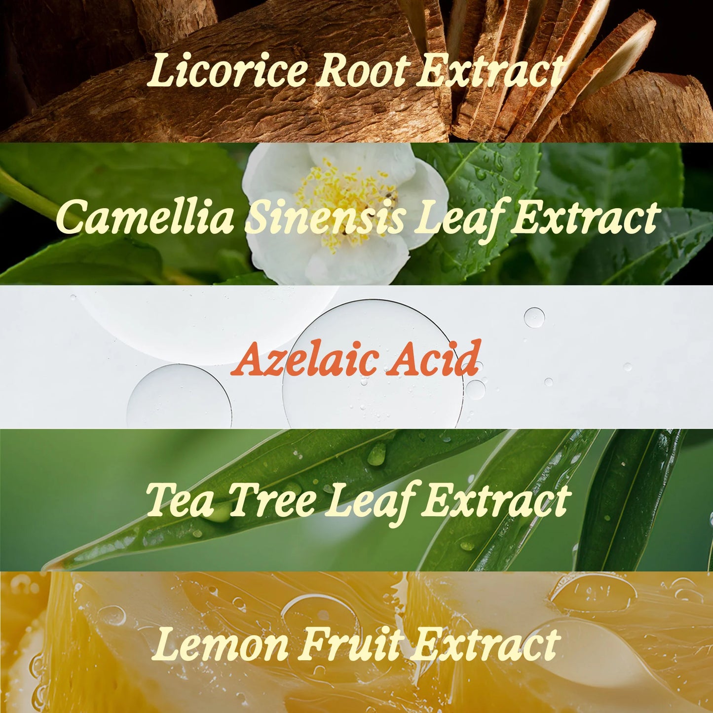 Unplug Blackhead-Melting Nose Strips