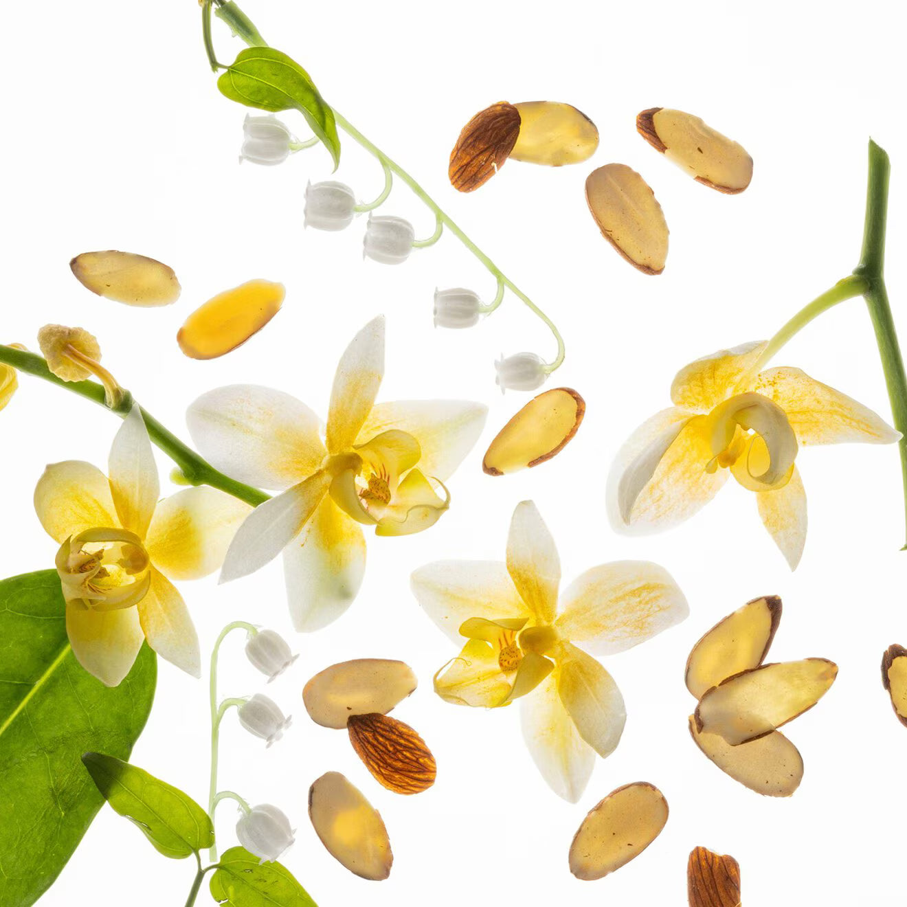 Moisturizing Body & Hair Fragrance Mist - Vanilla Velvet, 60ml